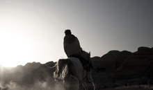 快速数据索引的ddos网页端